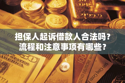 北京担保人起诉借款人合法吗？流程和注意事项有哪些？
