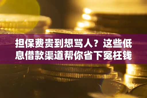 北京担保费贵到想骂人？这些低息借款渠道帮你省下冤枉钱