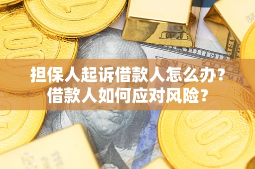 北京担保人起诉借款人怎么办？借款人如何应对风险？